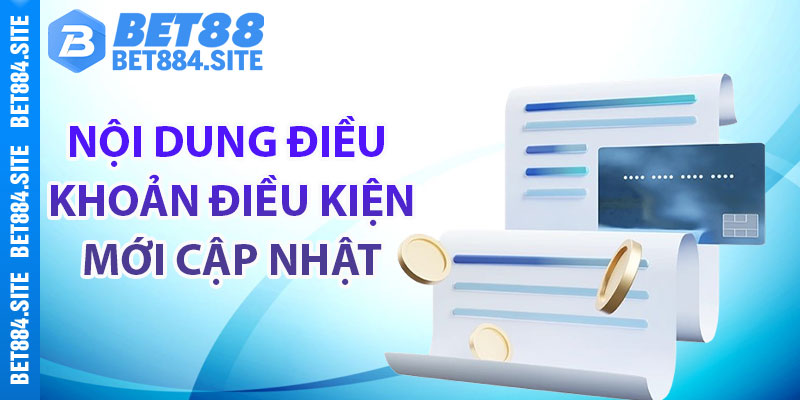 Nội dung điều khoản điều kiện mới cập nhật